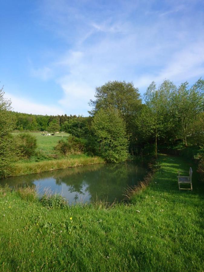 Ferienwohnung Hohe Acht Kaltenborn  Eksteriør billede